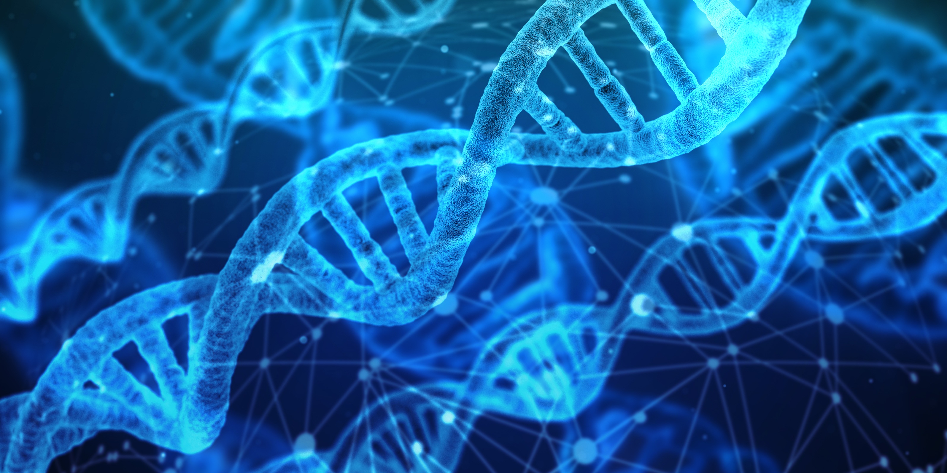 Antibiotika schädigen massiv DNA von Mitochondrien