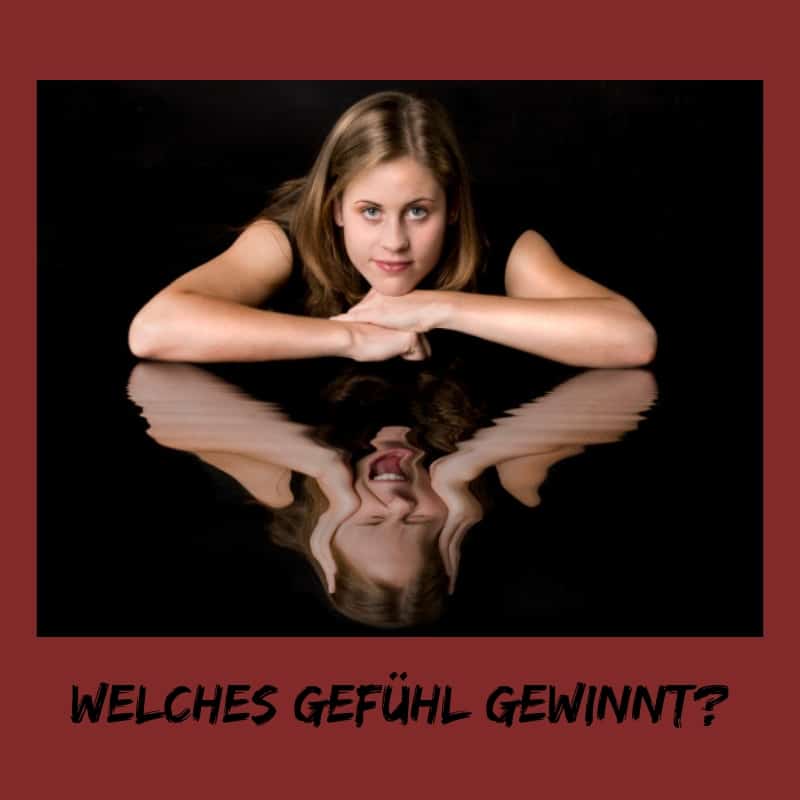 Zwei Wölfe…
