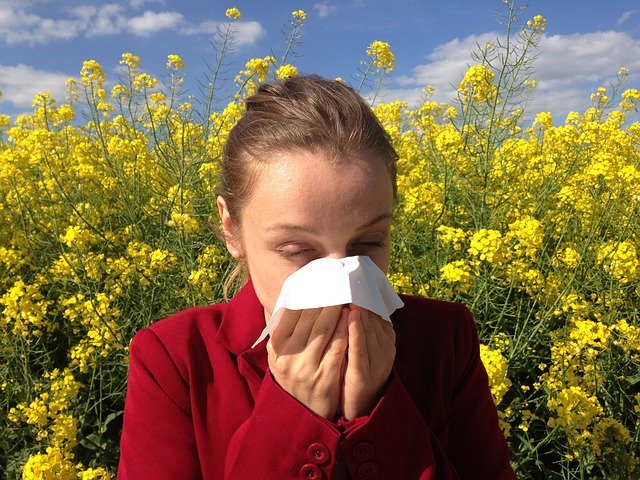 Allergien löschen, Schmerzen wegbalancieren